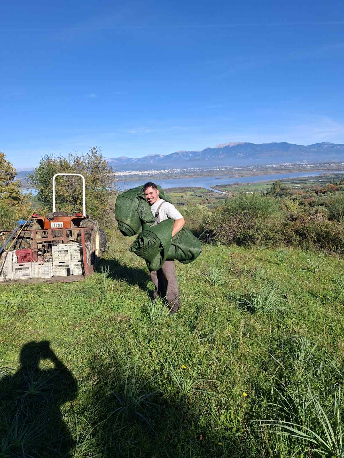 Dimitris trägt die Olivennetze — schwerer als man denkt